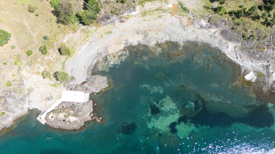 TRIWE: EXCLUSIVIDAD Y NATURALEZA EN LA PENÍNSULA DE ILLAHUAPI | VENTA EN VERDE