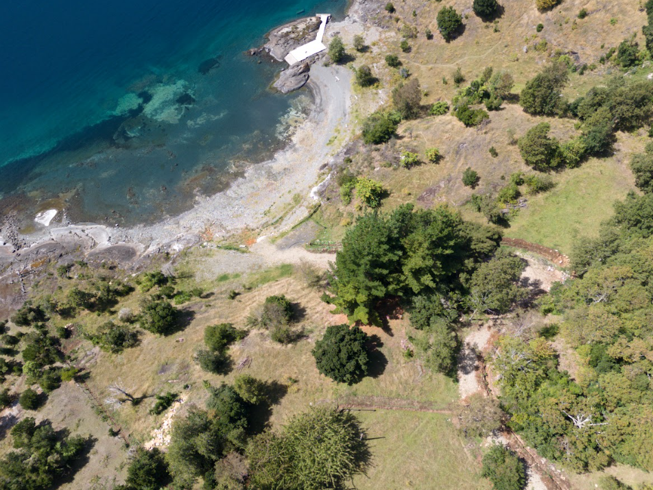 TRIWE: EXCLUSIVIDAD Y NATURALEZA EN LA PENÍNSULA DE ILLAHUAPI | VENTA EN VERDE