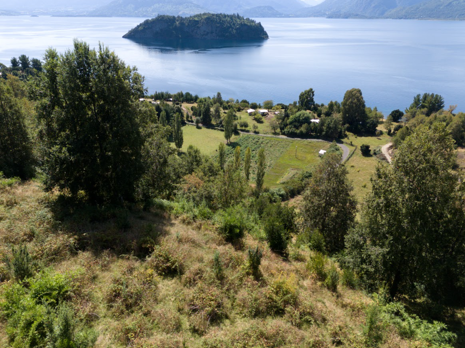 TRIWE: EXCLUSIVIDAD Y NATURALEZA EN LA PENÍNSULA DE ILLAHUAPI | VENTA EN VERDE