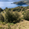 TRIWE: EXCLUSIVIDAD Y NATURALEZA EN LA PENÍNSULA DE ILLAHUAPI | VENTA EN VERDE