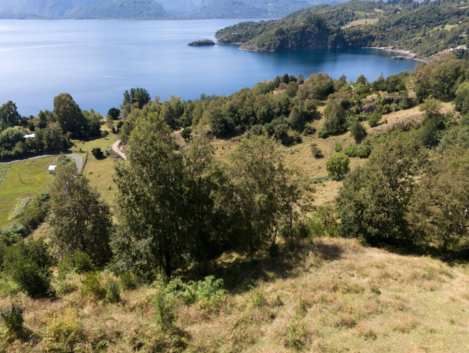 TRIWE: EXCLUSIVIDAD Y NATURALEZA EN LA PENÍNSULA DE ILLAHUAPI | VENTA EN VERDE