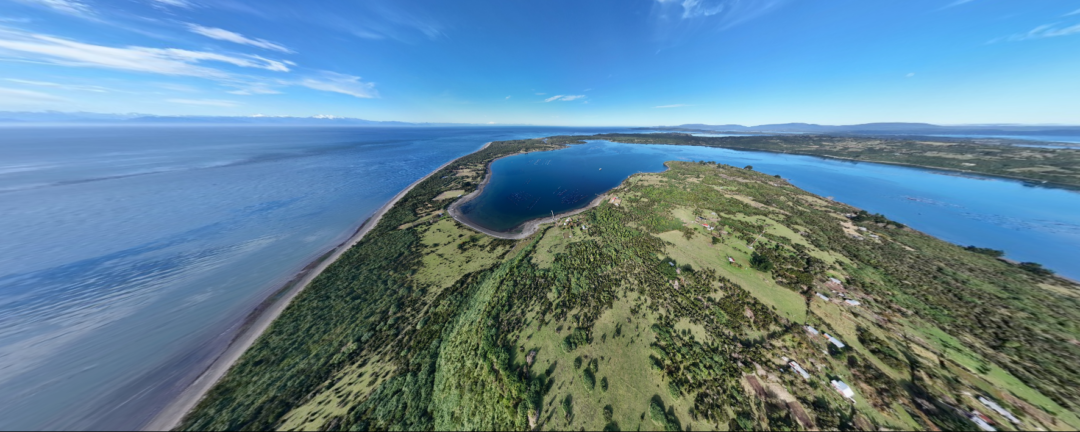ISLA CAILÍN: REFUGIO DE NATURALEZA