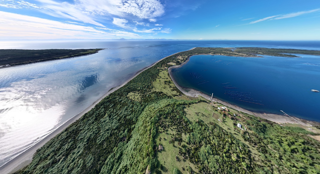 ISLA CAILÍN: REFUGIO DE NATURALEZA