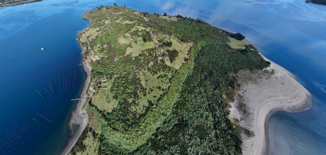 ISLA CAILÍN: REFUGIO DE NATURALEZA