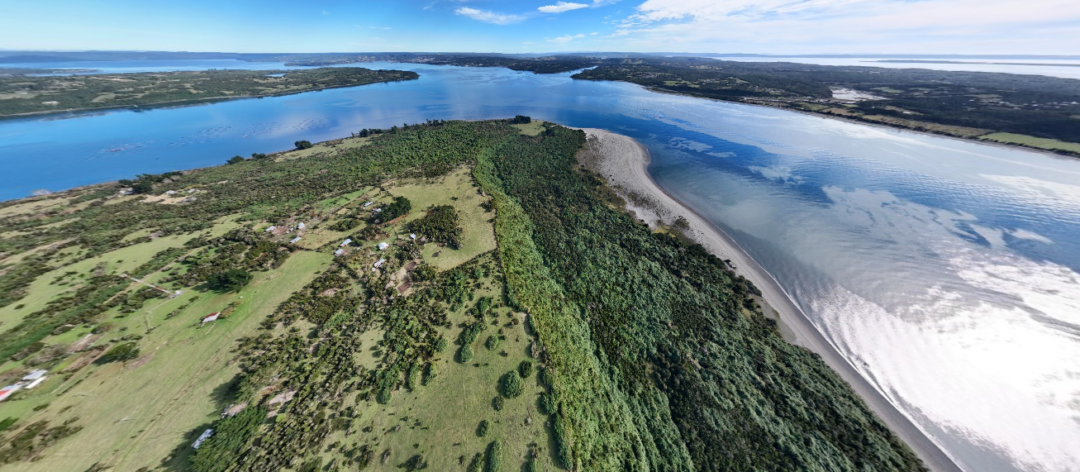 ISLA CAILÍN: REFUGIO DE NATURALEZA
