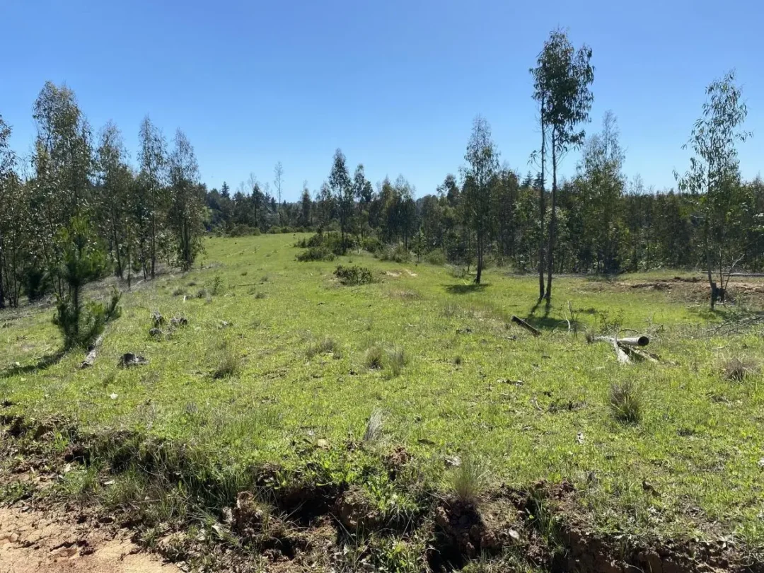 15 Hectáreas Con Vista Al Mar De Matanzas