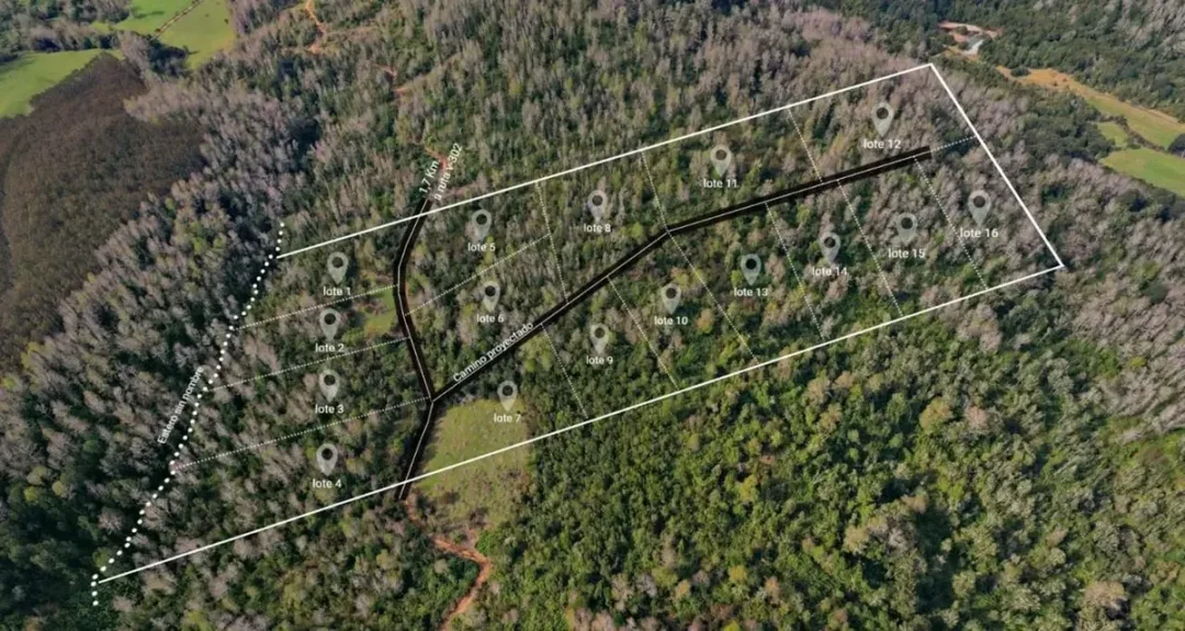 8,5 Hectáreas En Venta Sector Parga, Fresia, Los Lagos