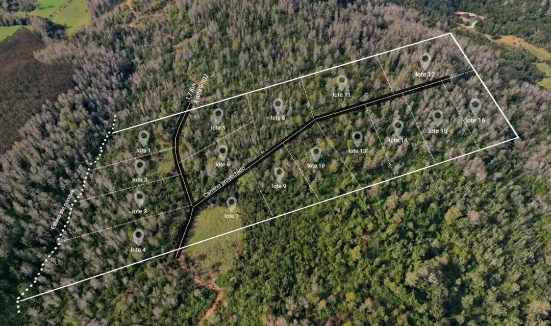 8,5 Hectáreas En Venta Sector Parga, Fresia, Los Lagos