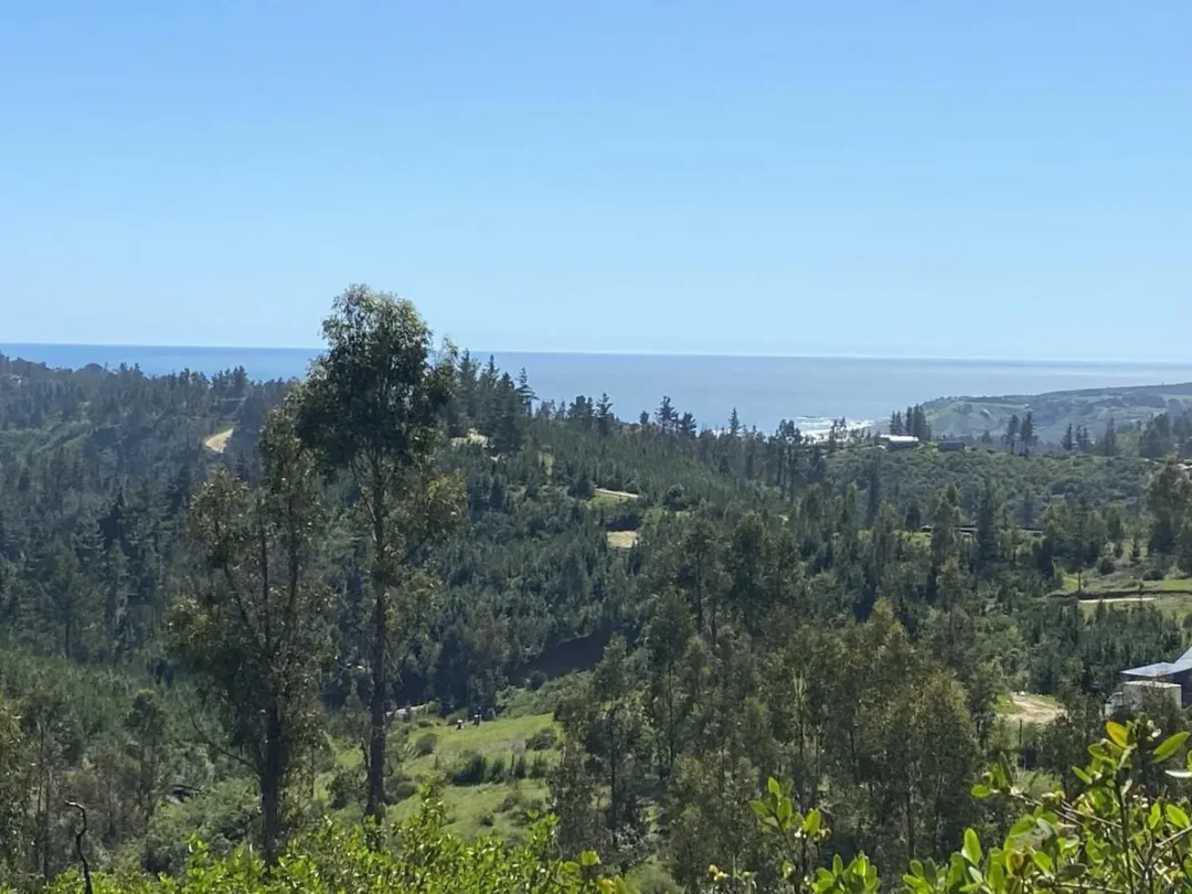 15 Hectáreas Con Vista Al Mar De Matanzas