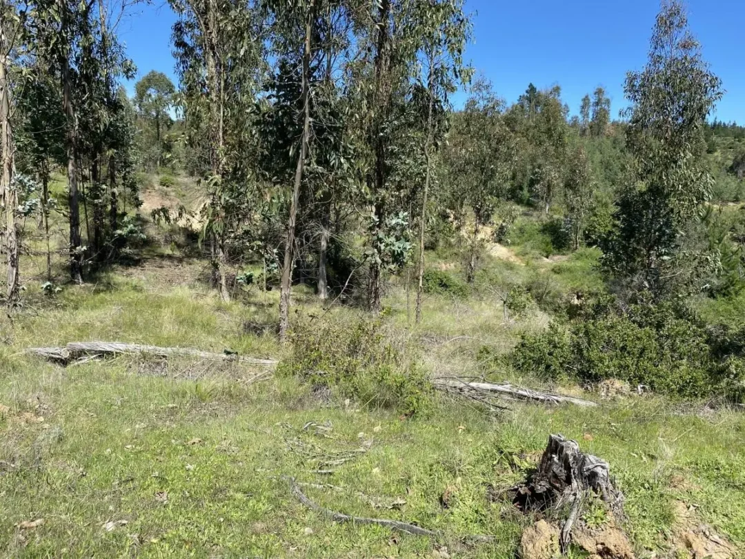 15 Hectáreas Con Vista Al Mar De Matanzas