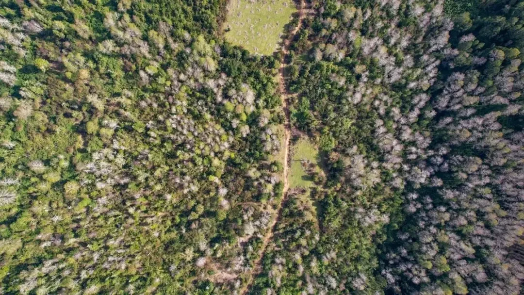 8,5 Hectáreas En Venta Sector Parga, Fresia, Los Lagos