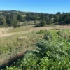 TERRENOS EN LA VEGA DE PUPUYA | MATANZAS