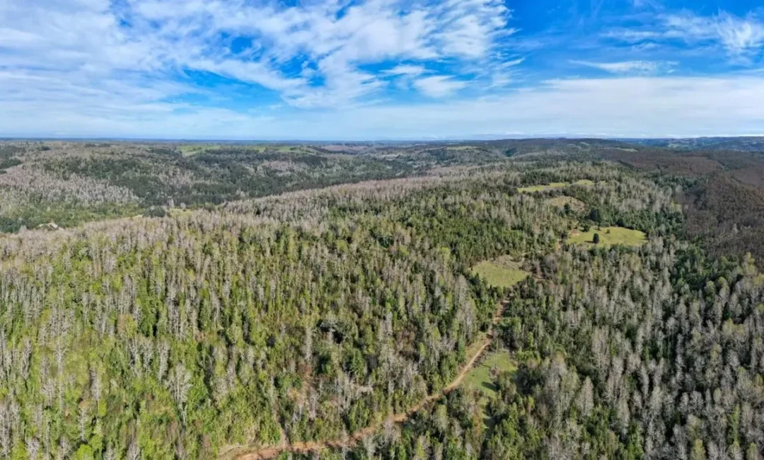 8,5 Hectáreas En Venta Sector Parga, Fresia, Los Lagos