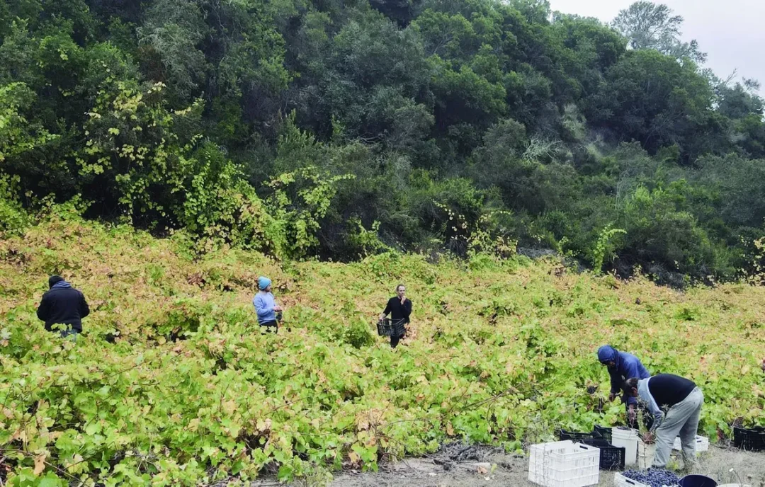 Terreno en Fundo Valle Los Bosques, La Vega de Pupuya