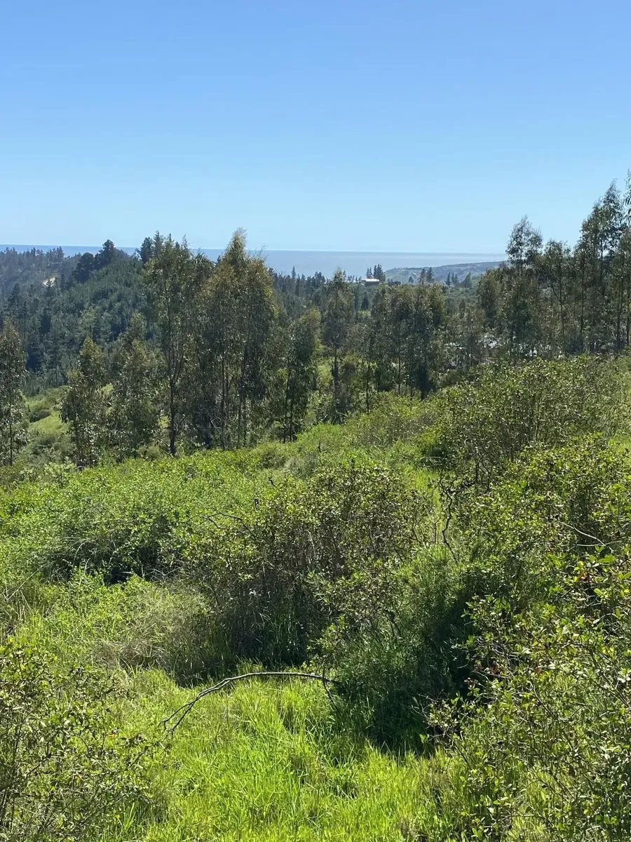 15 Hectáreas Con Vista Al Mar De Matanzas