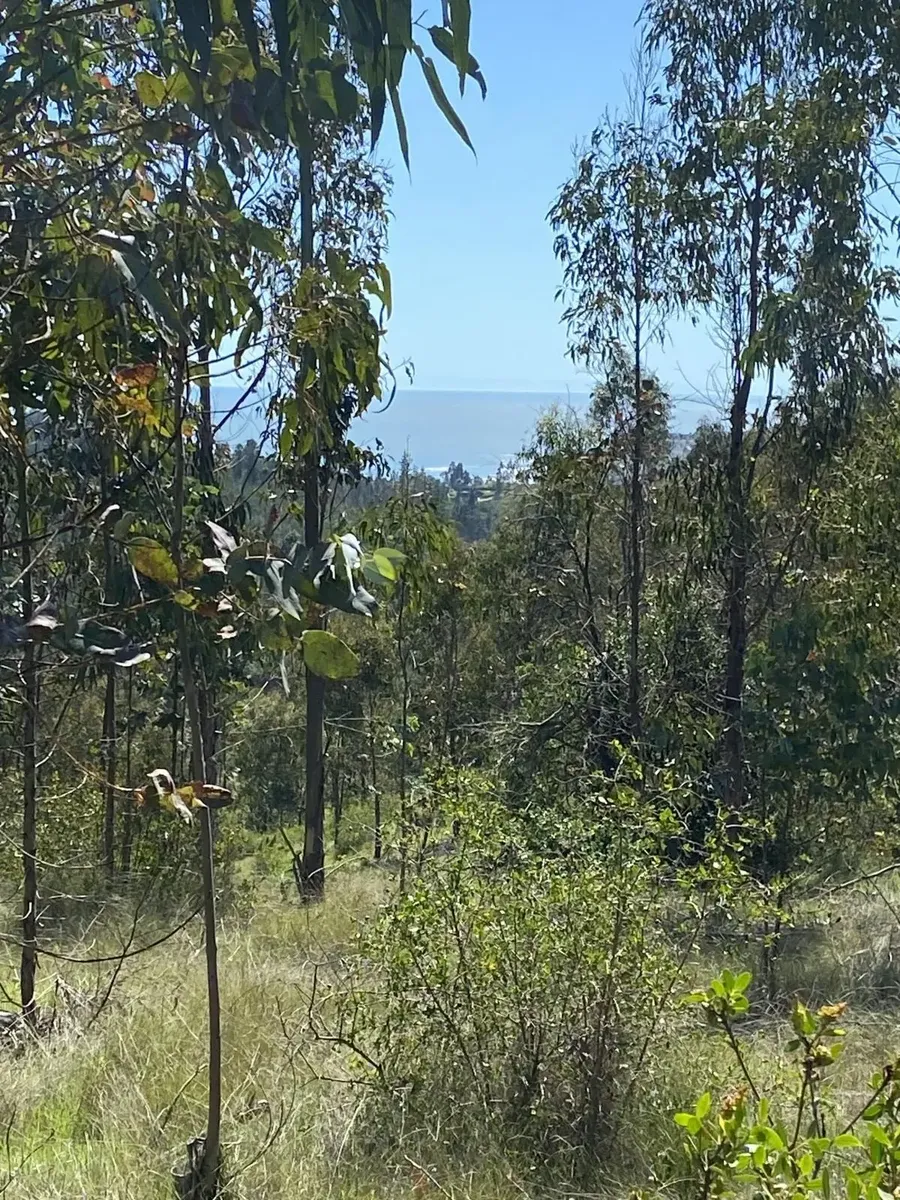 15 Hectáreas Con Vista Al Mar De Matanzas