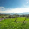 Liquidación Parcela Hacienda Chacabuco, Colina