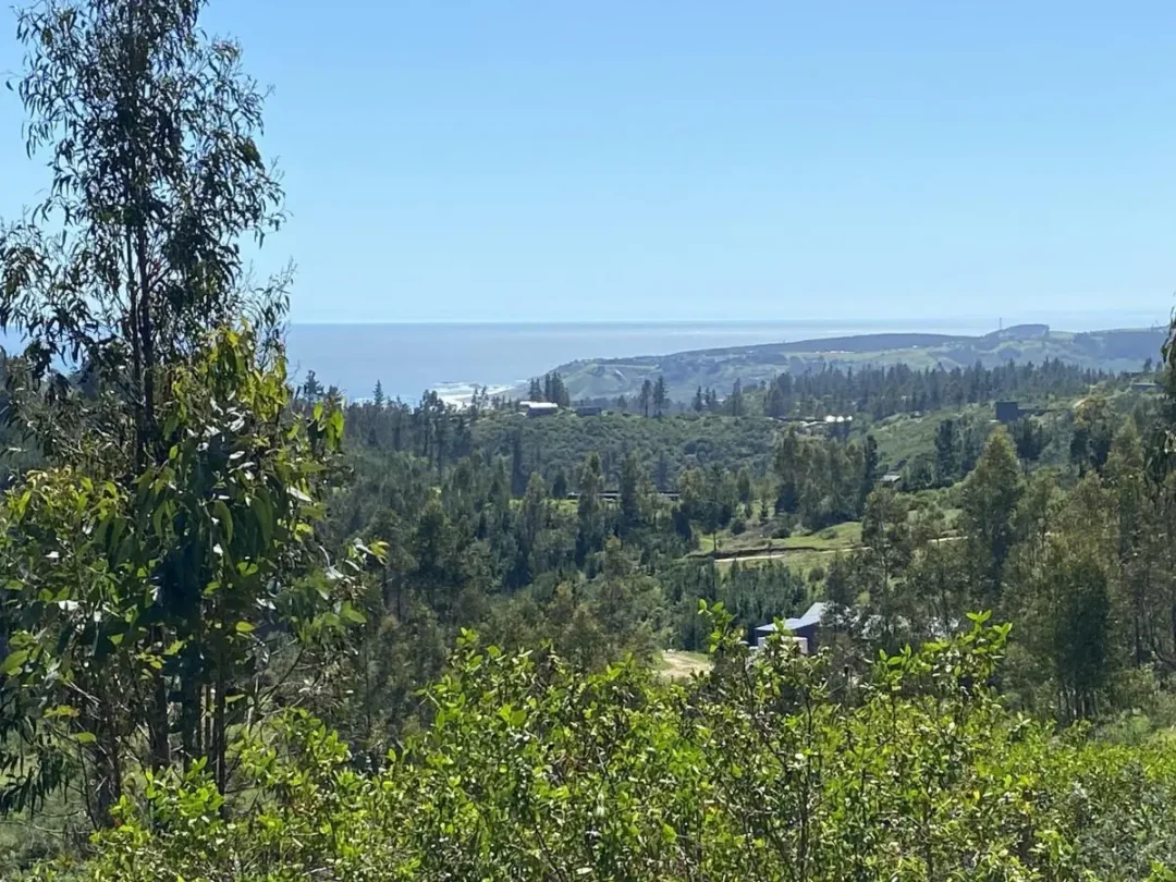 15 Hectáreas Con Vista Al Mar De Matanzas