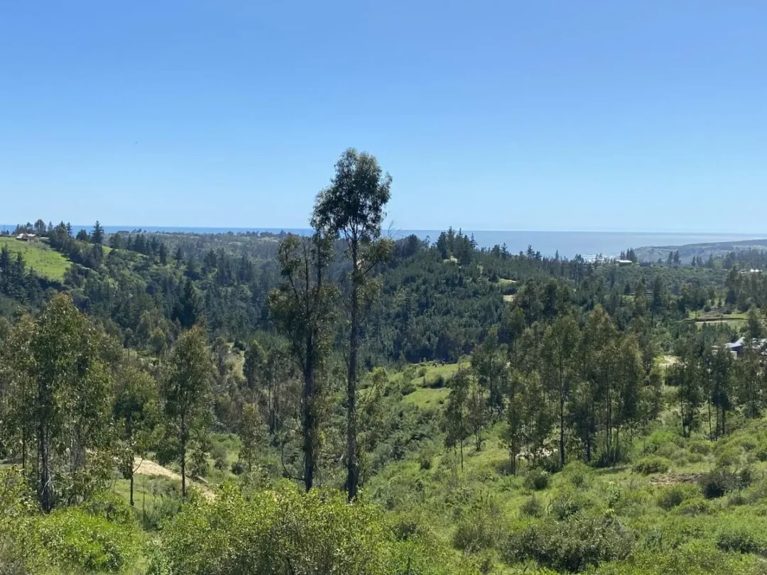 15 Hectáreas Con Vista Al Mar De Matanzas