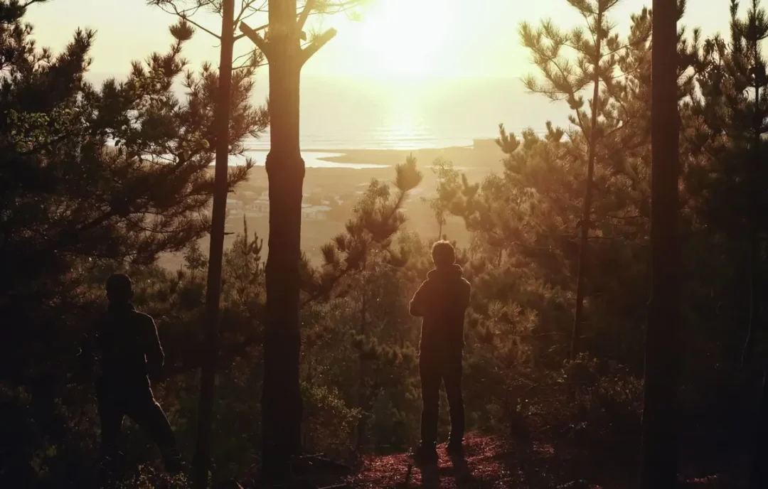 Terreno en Fundo Valle Los Bosques, La Vega de Pupuya
