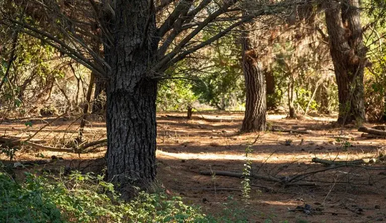 EXCLUSIVO CONDOMINIO A ORILLAS DEL LAGO COLBUN