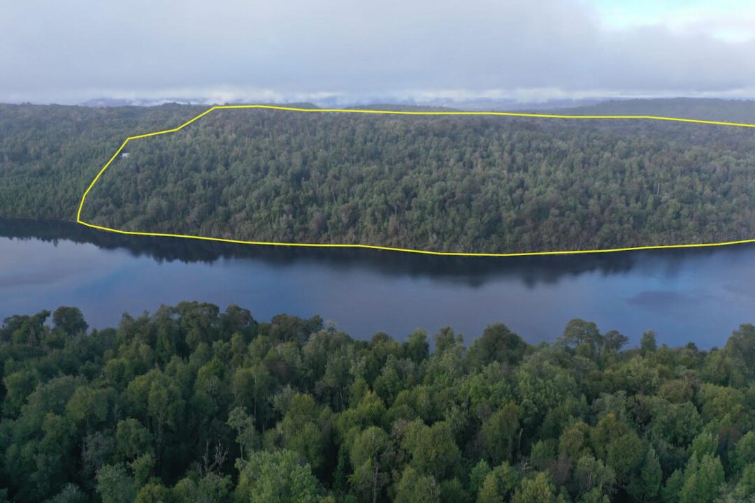 IMG_1993 66 ha - LAGUNA POPETANE, CHILOE