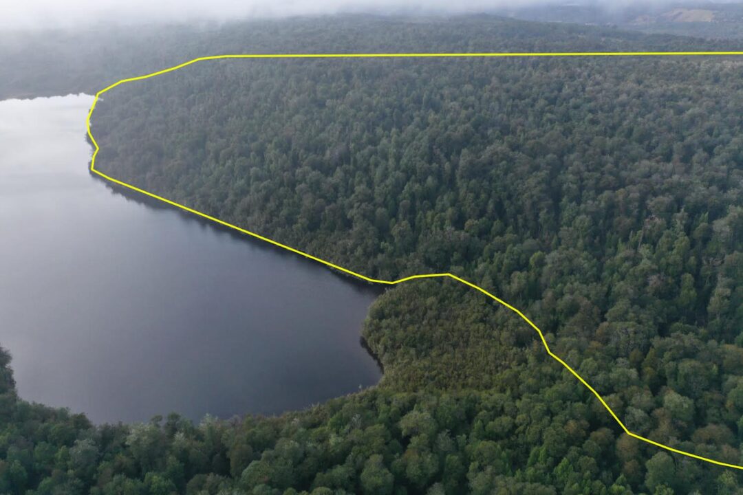 IMG_1995 66 ha - LAGUNA POPETANE, CHILOE