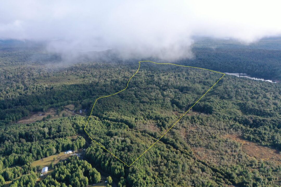 IMG_1997 66 ha - LAGUNA POPETANE, CHILOE