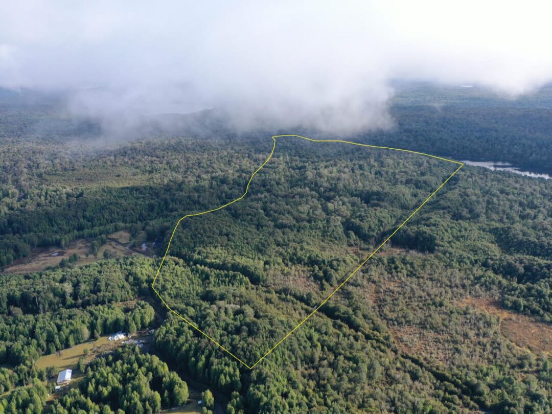 IMG_1997 66 ha - LAGUNA POPETANE, CHILOE