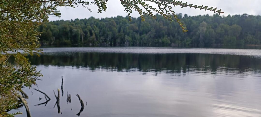 IMG_2003 66 ha - LAGUNA POPETANE, CHILOE