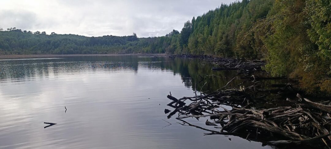 IMG_2004 66 ha - LAGUNA POPETANE, CHILOE