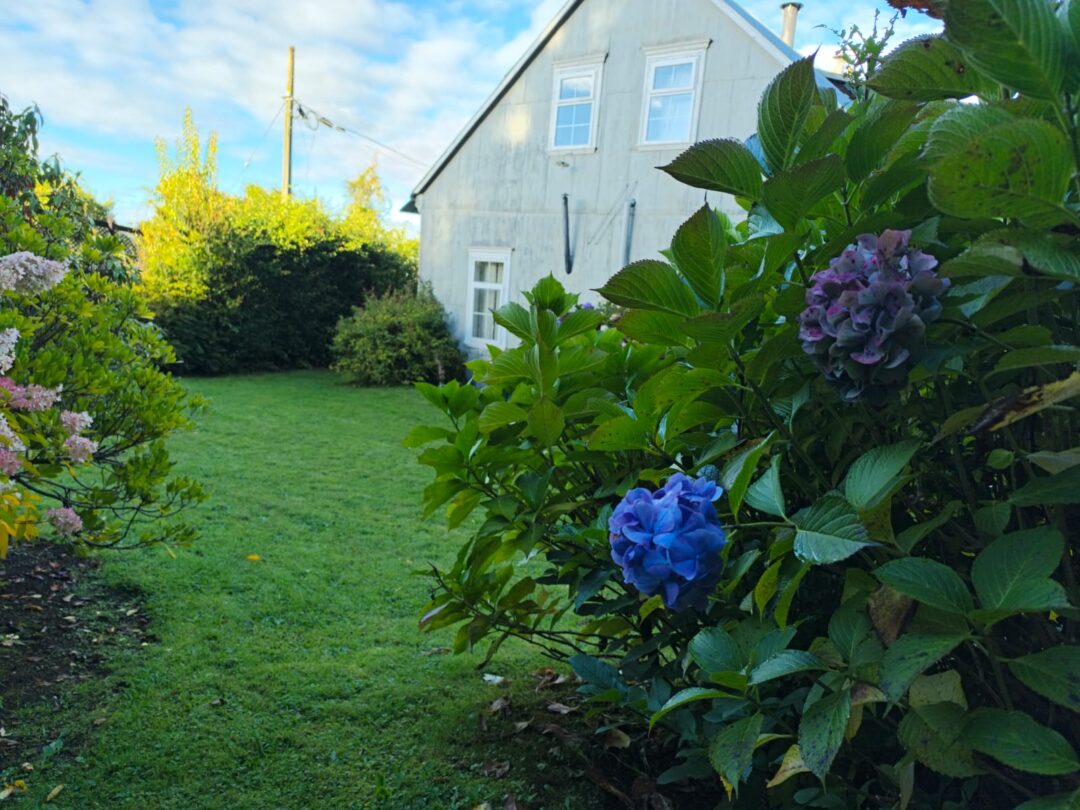 CASONA DE COLONOS EN FRUTILLAR BAJO - 1,47 Ha