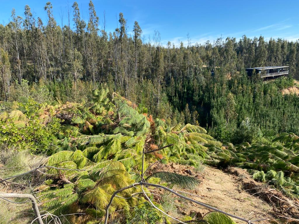 ALTO CHORRILLO | MATANZAS