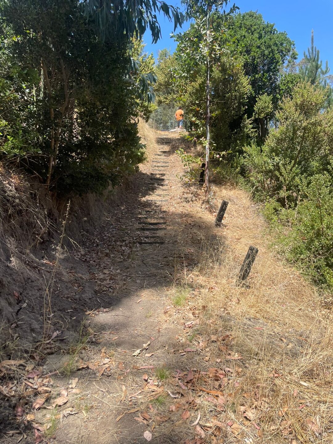 ALTO CHORRILLO | MATANZAS