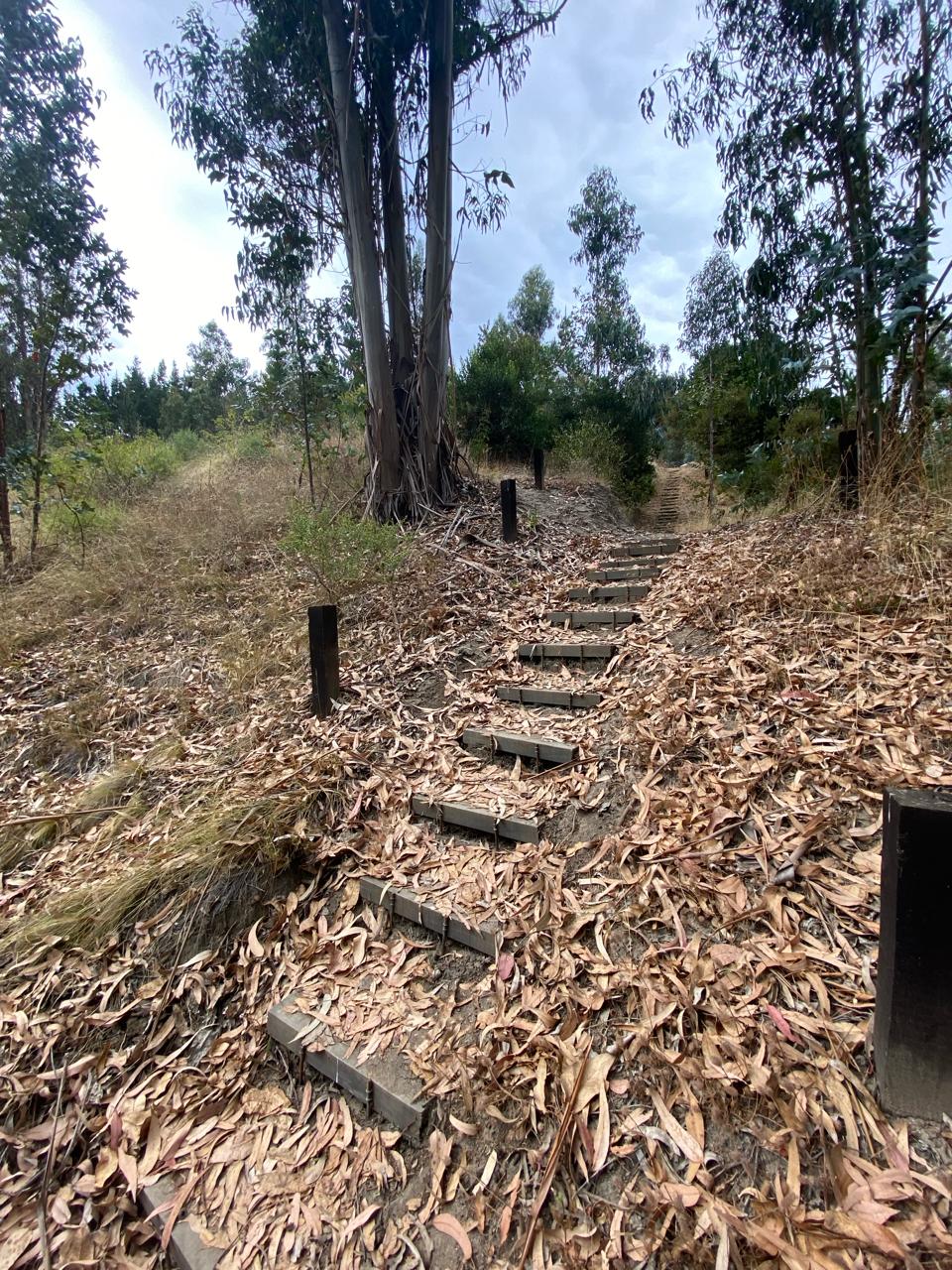 ALTO CHORRILLO | MATANZAS