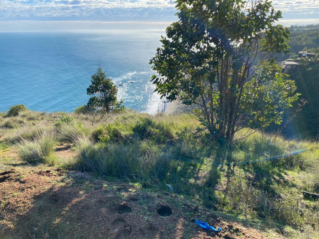 Imagen de WhatsApp 2024-06-03 a las 19.25.50_888714dd MAR DE MATANZAS: ENTORNO NATURAL CON VISTA UNICA