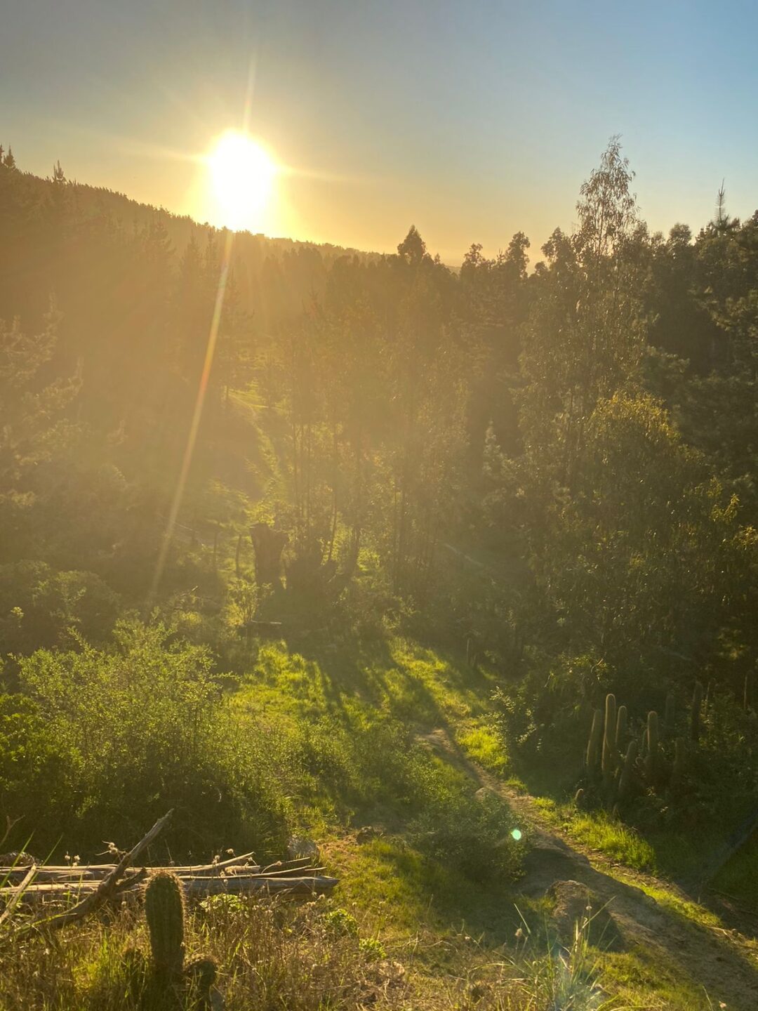 LA CAMPANA | PUPUYA (MATANZAS)