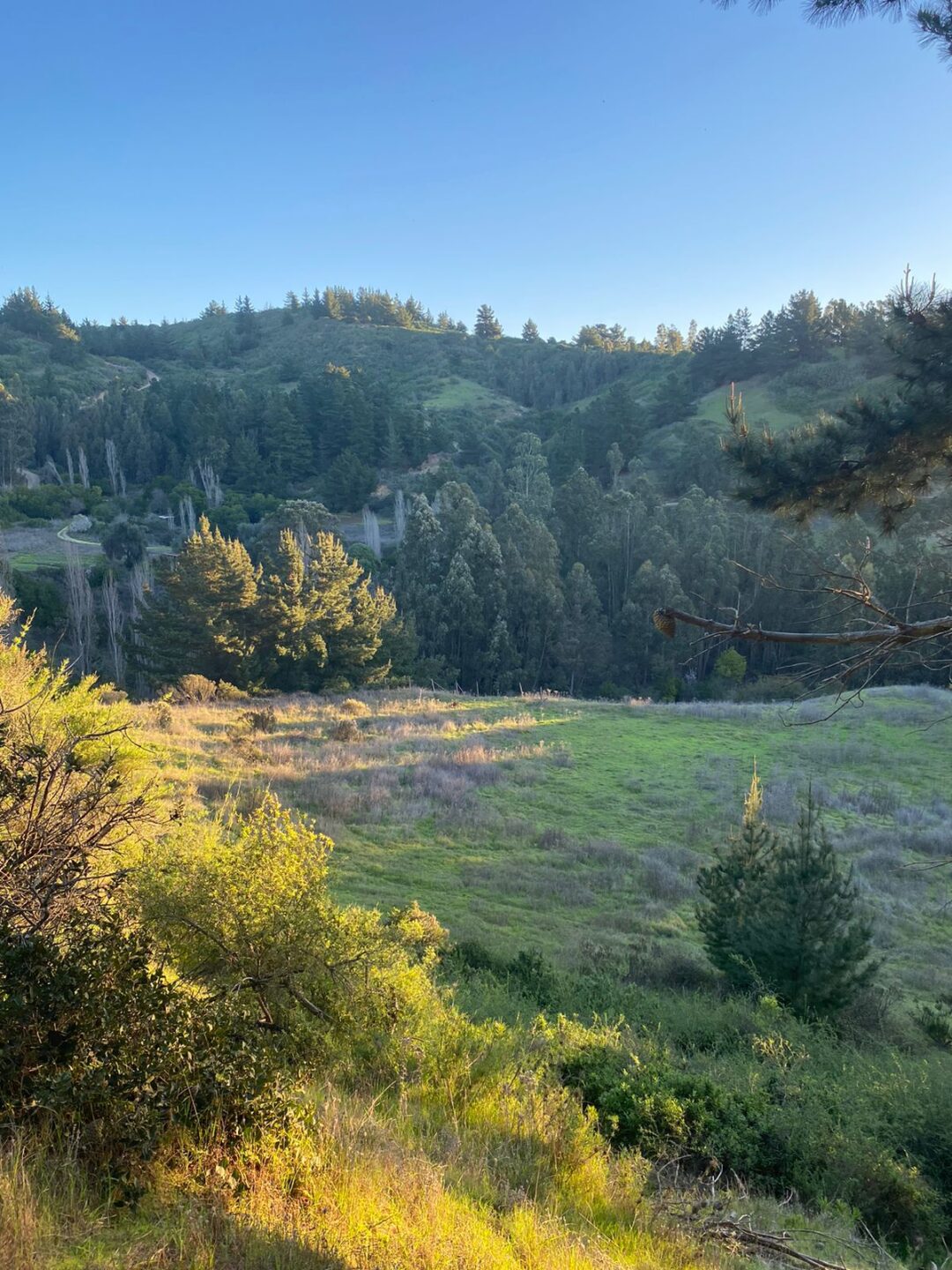 LA CAMPANA | PUPUYA (MATANZAS)