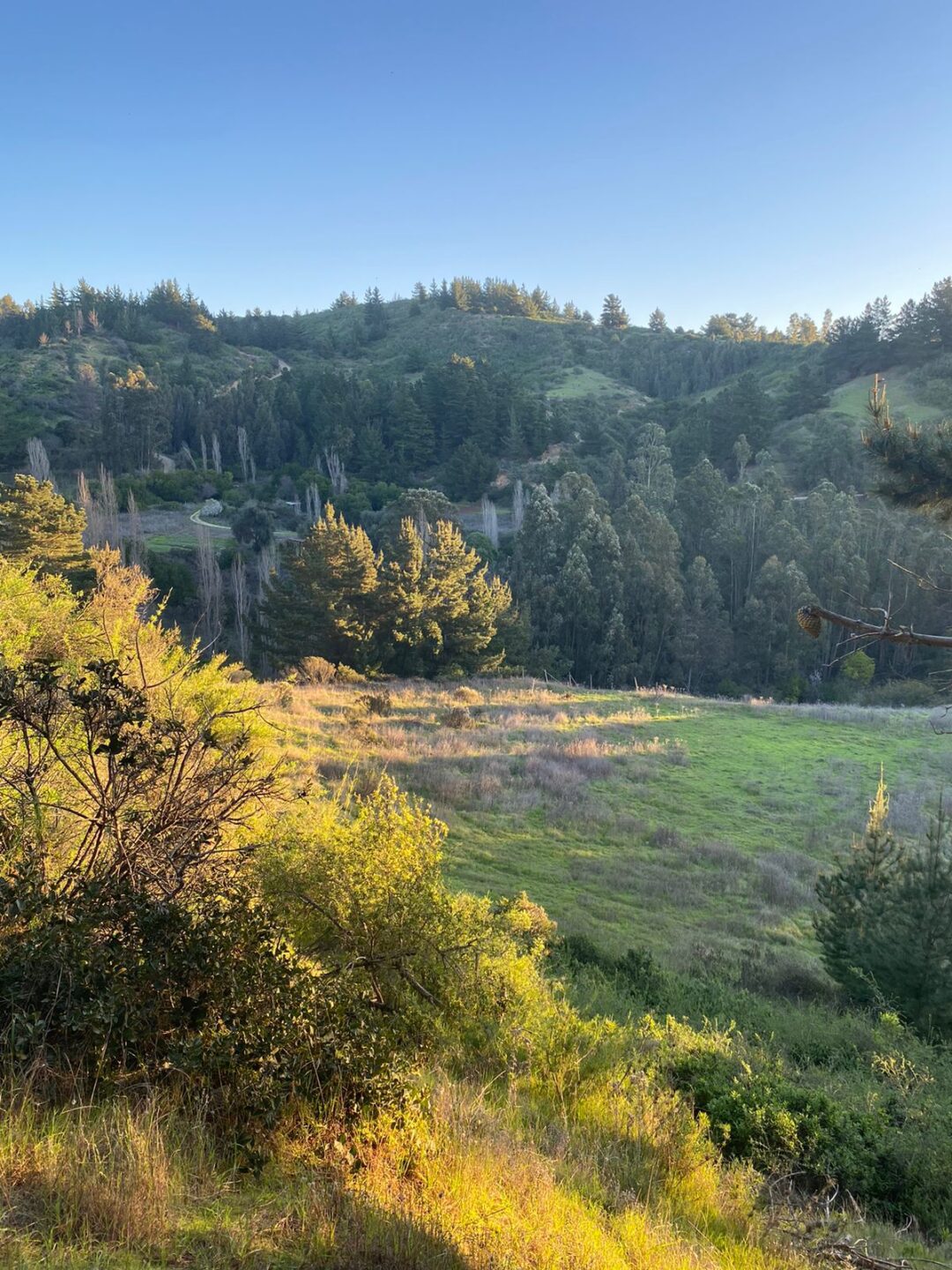 LA CAMPANA | PUPUYA (MATANZAS)