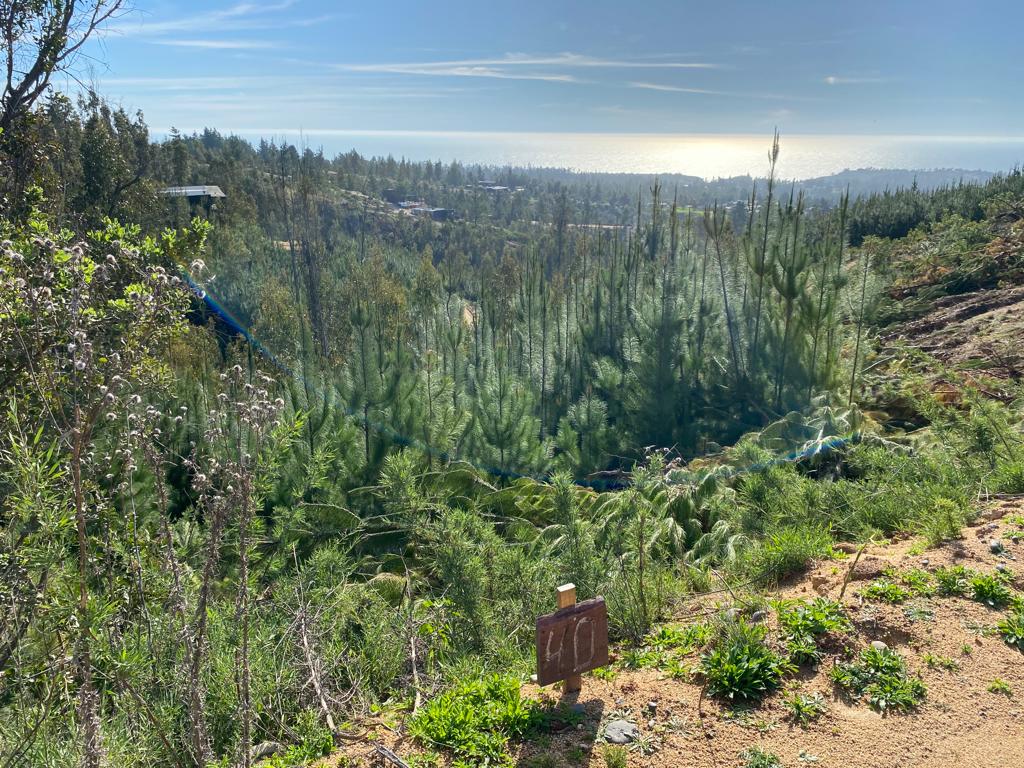 ALTO CHORRILLO | MATANZAS