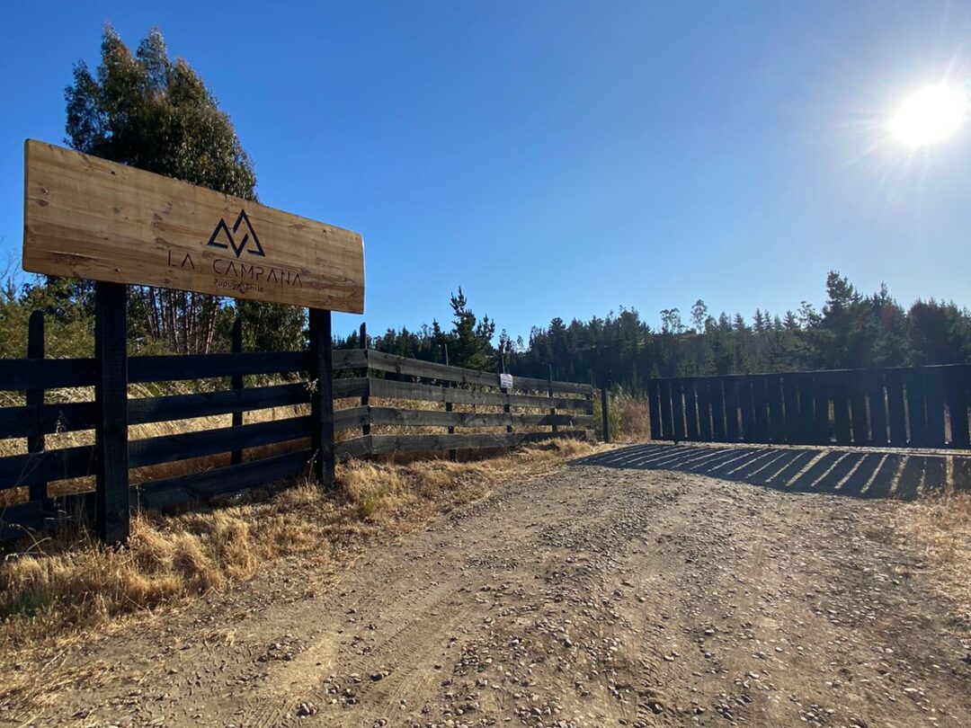 Imagen de WhatsApp 2024-12-20 a las 10.52.51_51f870c8 LA CAMPANA | PUPUYA (MATANZAS)