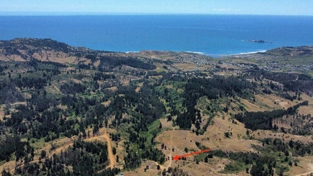 LA CAMPANA | PUPUYA (MATANZAS)