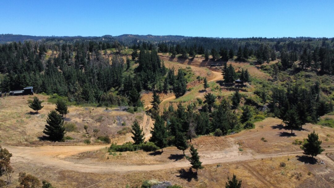 LA CAMPANA | PUPUYA (MATANZAS)