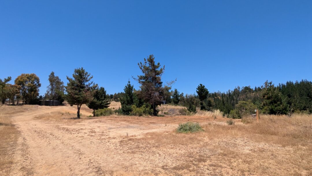 LA CAMPANA | PUPUYA (MATANZAS)