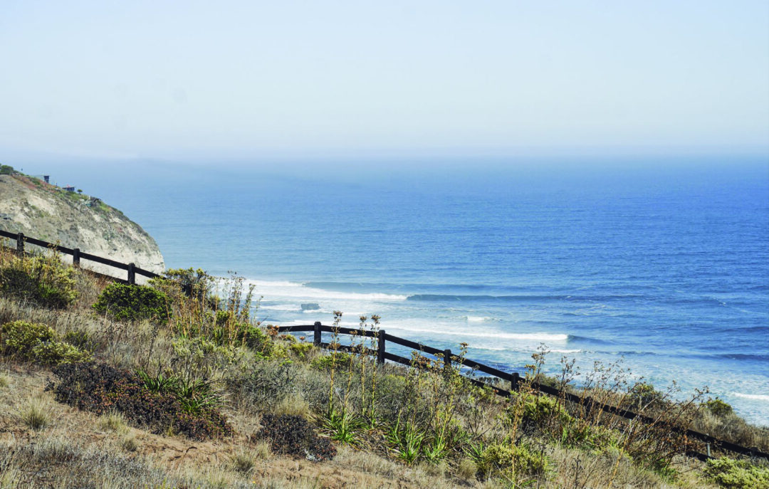 RESERVA DEL CALABACILLO | MATANZAS