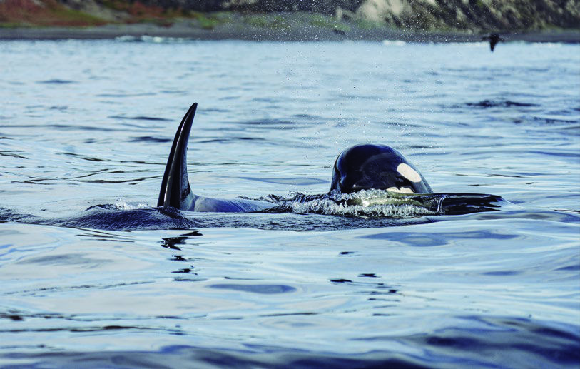 RESERVA DEL CALABACILLO | MATANZAS