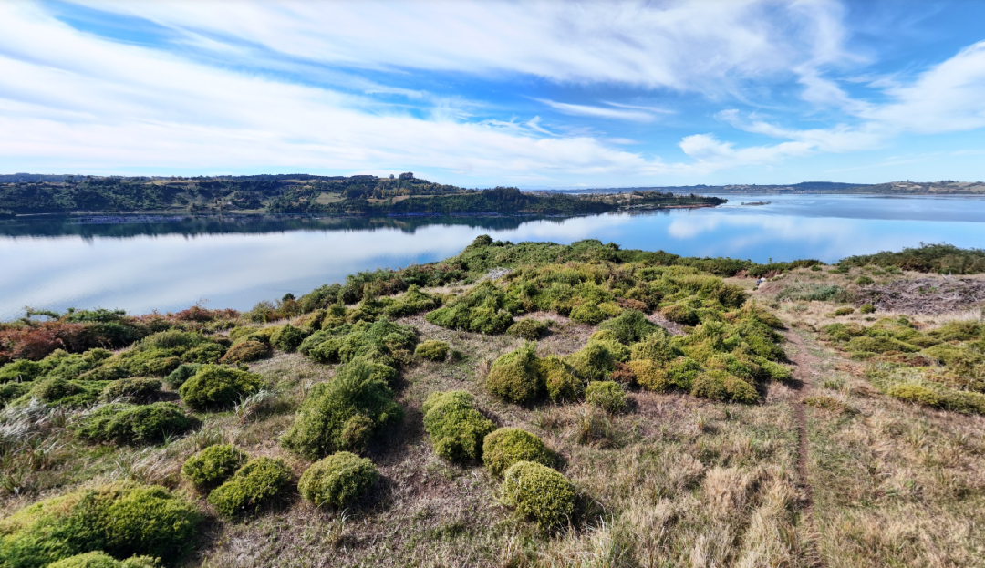 OPORTUNIDAD HISTORICA EN TAUCO | CHILOE